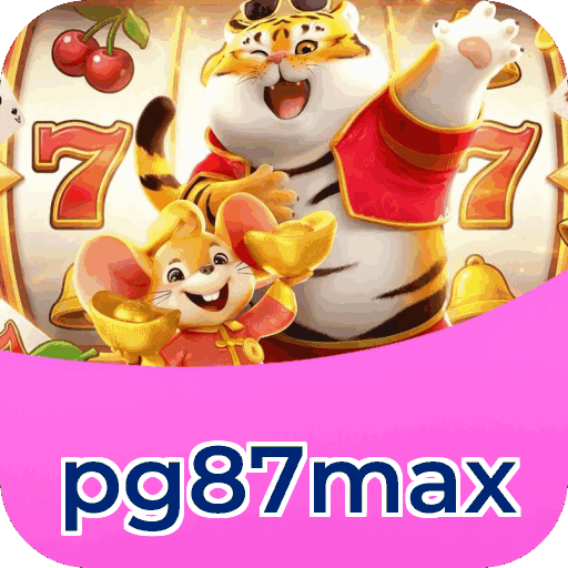 Interface pg87max